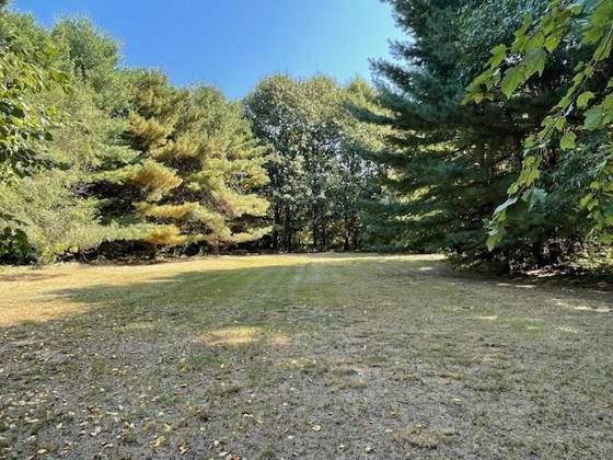 10572 Plank Road, Milan, MI 48160 photo 4