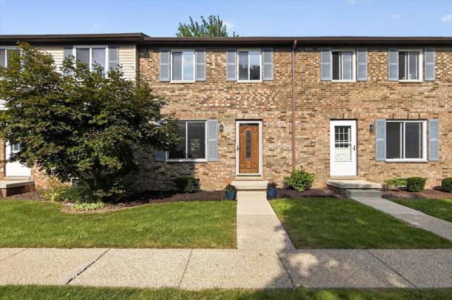 145 Sheffield Drive, Saline, MI