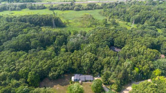 3950 Queen Oaks Drive, Chelsea, MI 48118 photo 4