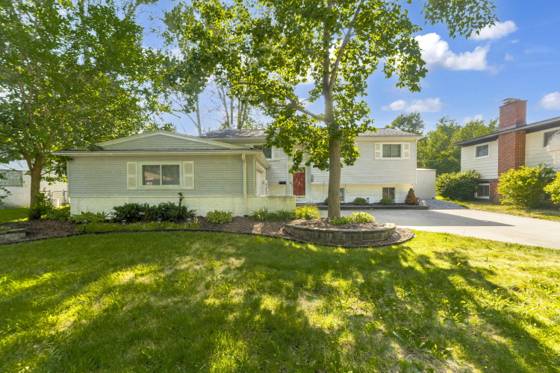 21009 Robinwood Street, Farmington, MI 48336 photo 3
