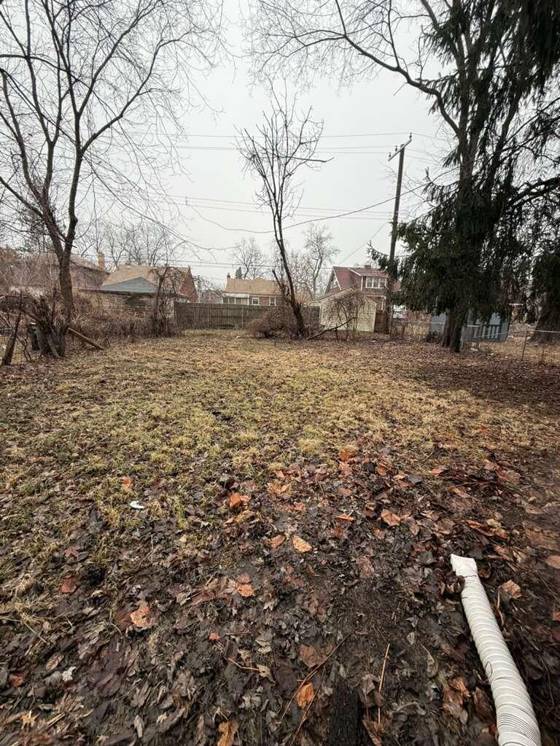16584 Blackstone Street, Detroit, MI 48219 photo 5