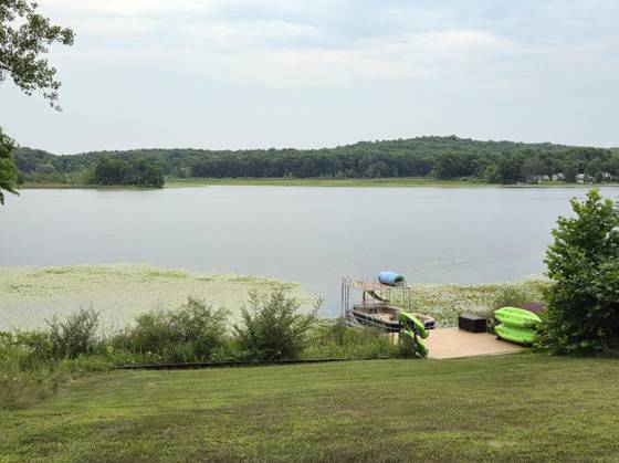 12884 Sharon Hollow Road, Manchester, MI 48158 photo 2