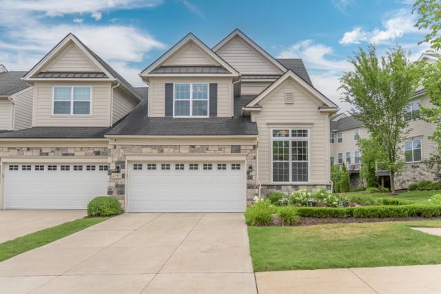 42905 Cardinal Way, Novi, MI