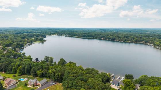 7355 Webbs Shore Drive, Gregory, MI 48137 photo 5