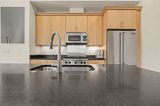 410 N 1st Street #203, Ann Arbor, MI 48103 photo 4