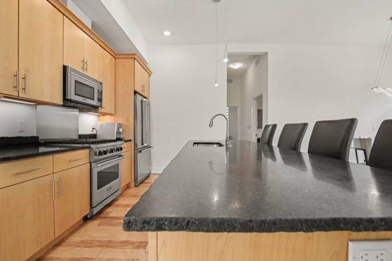 410 N 1st Street #203, Ann Arbor, MI 48103 photo 5