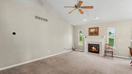 637 Bristol Drive, Chelsea, MI 48118 photo 4