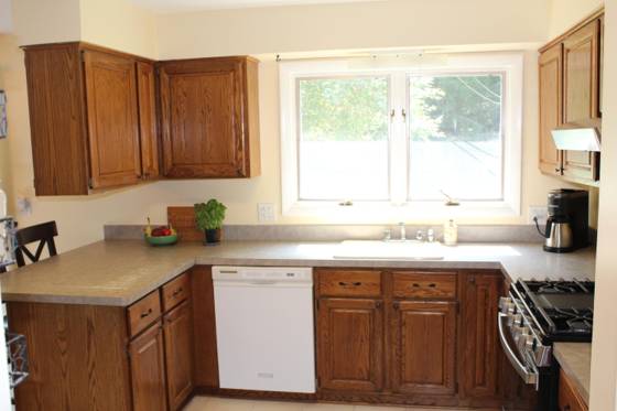 3444 E Pineview Drive, Dexter, MI 48130 photo 5