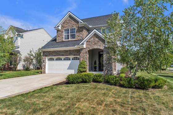 481 Hickory Bluff Lane, Chelsea, MI 48118 photo 3
