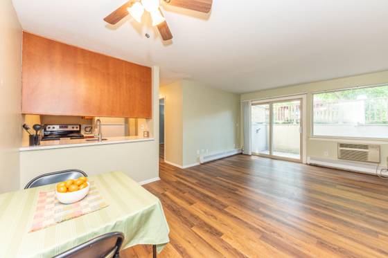 2317 Packard Street #B104, Ann Arbor, MI 48104 photo 3