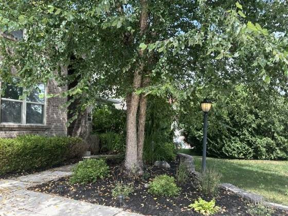 2708 Trillium Hills Drive, Commerce Twp, MI 48382 photo 4