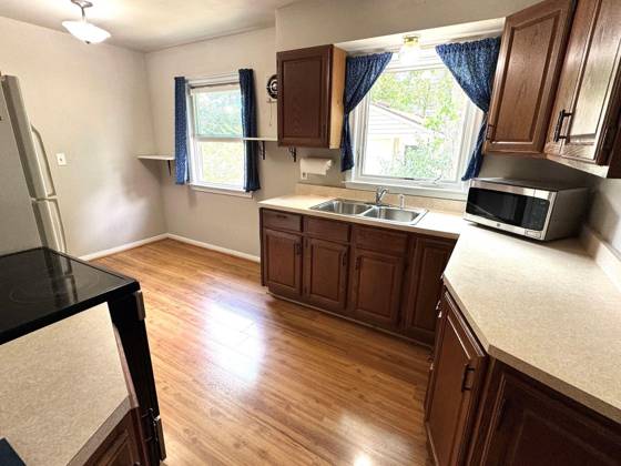 907 Bruce Street, Ann Arbor, MI 48103 photo 4
