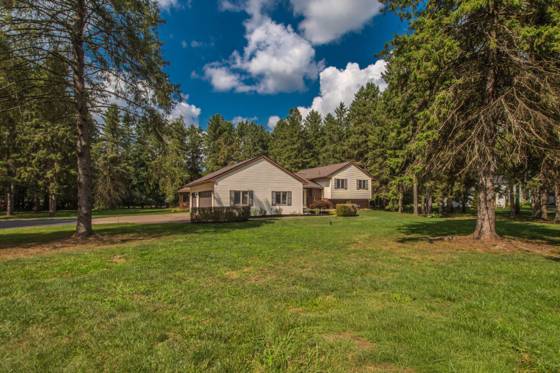 12575 Green Tree Trail, South Lyon, MI 48178 photo 4