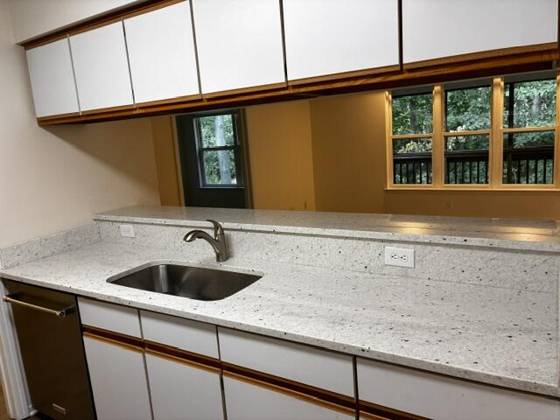 1357 Heatherwood Lane, Ann Arbor, MI 48108 photo 5