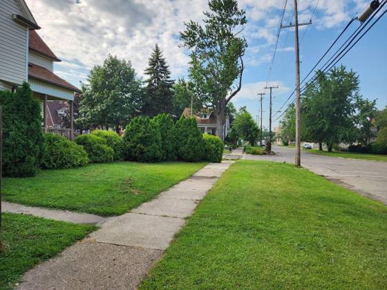 464 Elm Street, Wyandotte, MI 48192 photo 4