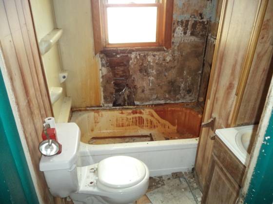 2263 E Maple Avenue, Burton, MI 48529 photo 4