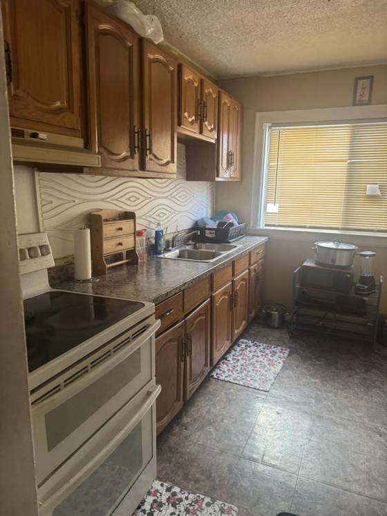 15703 Snowden Street, Detroit, MI 48227 photo 5