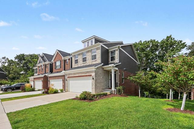 692 Peppermint Drive, Rochester Hills, MI