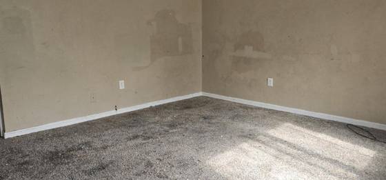 1327 Andrea Street, Ypsilanti, MI 48198 photo 5
