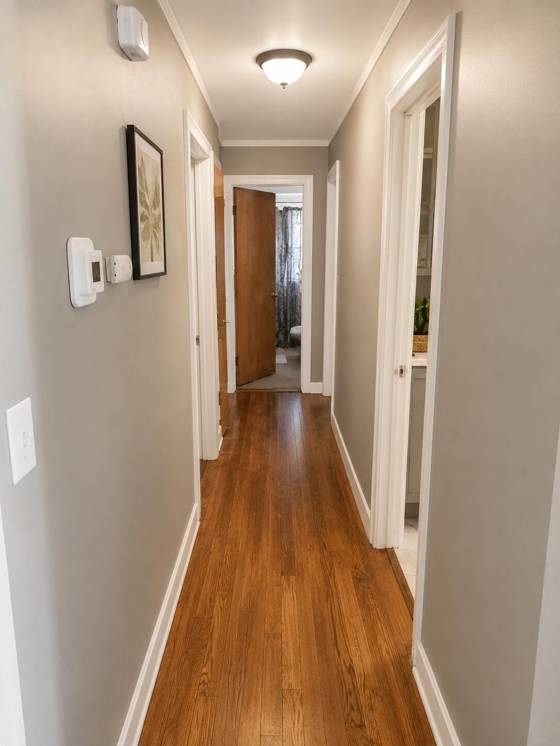 24725 Saxony Avenue, Eastpointe, MI 48021 photo 3