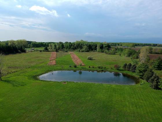 9227 Yager Road, Columbus, MI 48063 photo 4