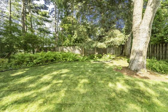 765 N Mansfield Street, Ypsilanti, MI 48197 photo 5
