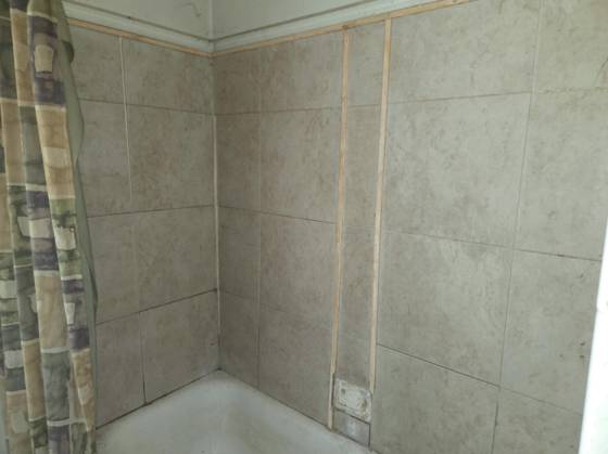 12863 Braile Street, Detroit, MI 48223 photo 3