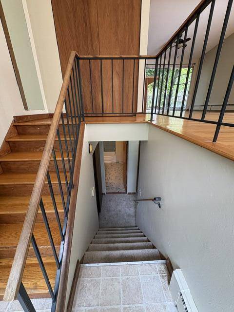 1011 Olivia Avenue, Ann Arbor, MI 48104 photo 5
