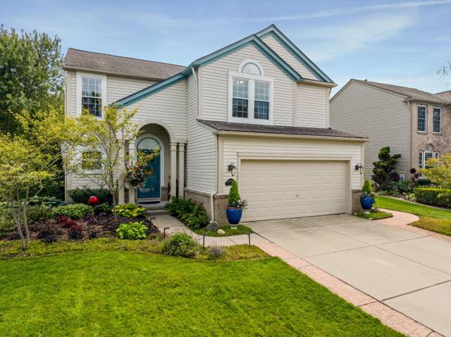 7673 Turrillium Lane, Waterford, MI