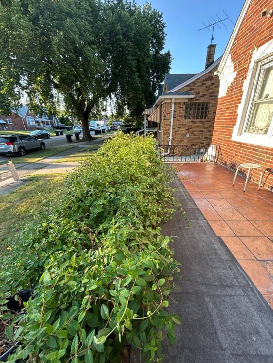 6878 Abington Avenue, Detroit, MI 48228 photo 5