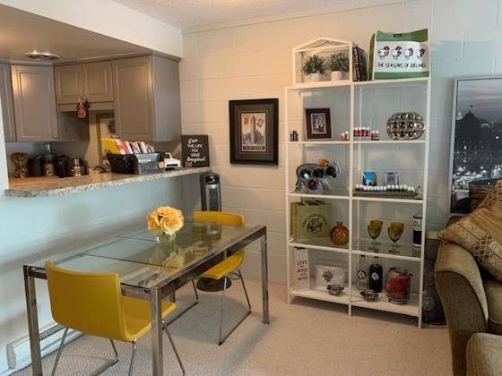 442 S First Street #6, Ann Arbor, MI 48103 photo 5