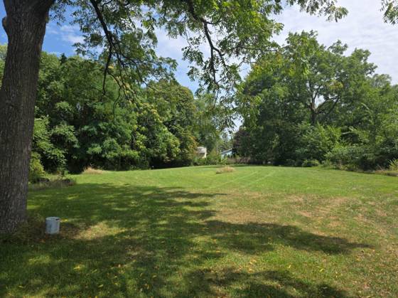 728 N River Street, Ypsilanti, MI 48198 photo 3