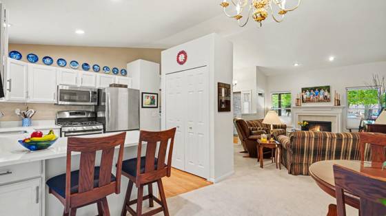 106 Village Place Drive, Chelsea, MI 48118 photo 5