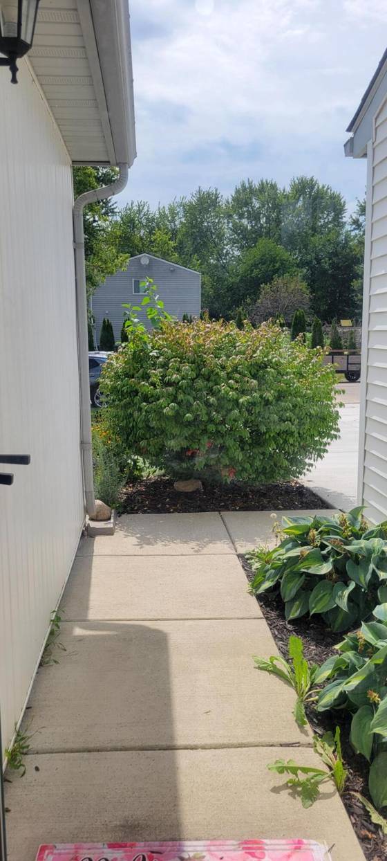5465 New Meadow Drive, Ypsilanti, MI 48197 photo 2