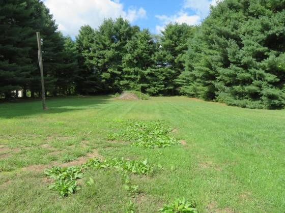 12086 Whittaker Road, Milan, MI 48160 photo 5