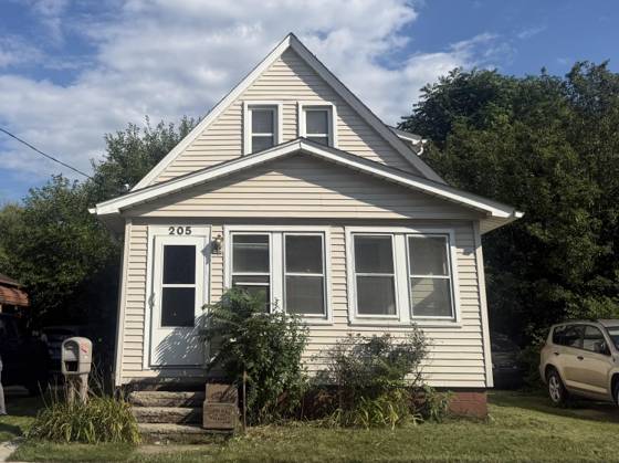 205 Haltiner Street, River Rouge, MI 48218 photo 2