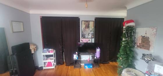 8315 W Parkway Street, Detroit, MI 48239 photo 5