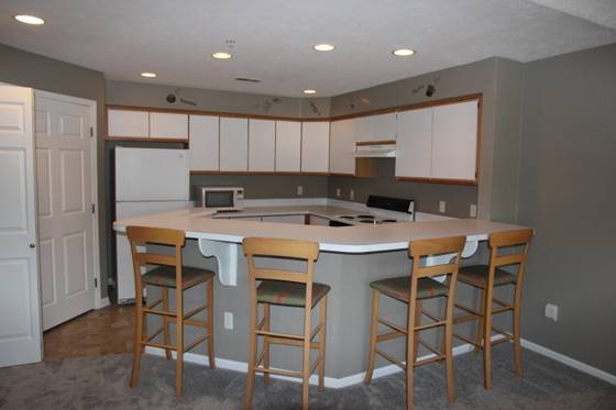 1376 Heatherwood Lane, Ann Arbor, MI 48108 photo 2
