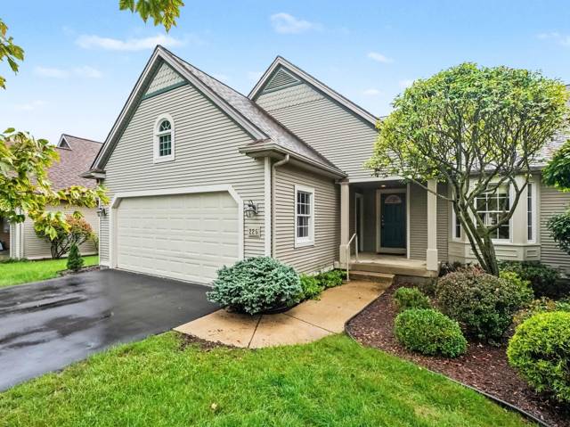 225 Pierce Lake Drive, Chelsea, MI