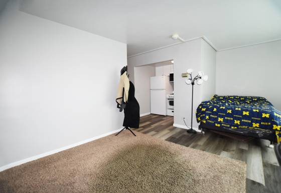 555 E William Street #3K, Ann Arbor, MI 48104 photo 2