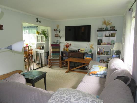 16788 Ida West Road, Petersburg, MI 49270 photo 5
