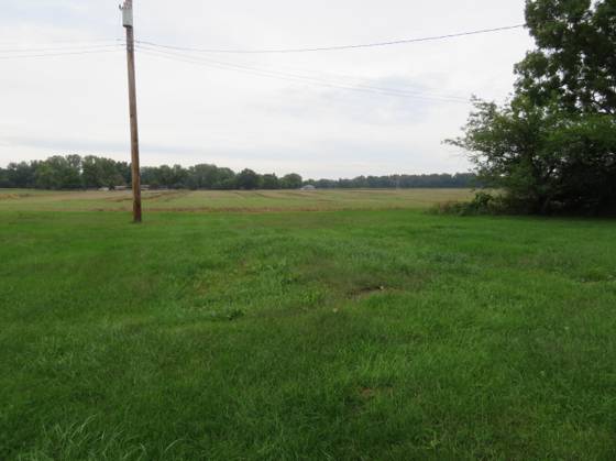 16788 Ida West Road, Petersburg, MI 49270 photo 4