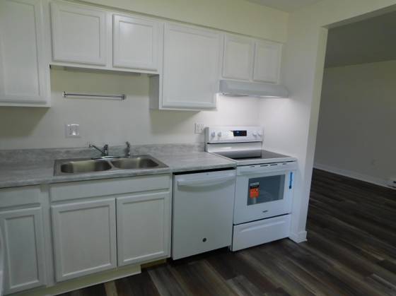 253 Brookridge Court #1, Ann Arbor, MI 48103 photo 5