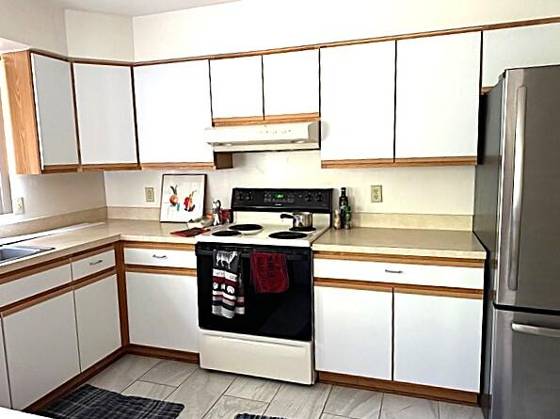 1530 Siller Terrace, Ann Arbor, MI 48103 photo 4