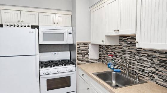 1217 Island Drive #204, Ann Arbor, MI 48105 photo 2
