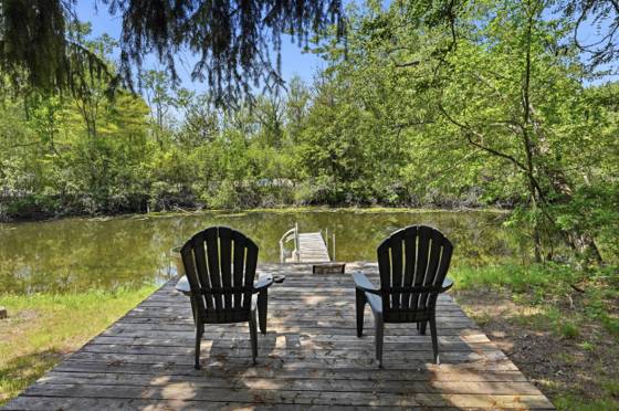 4501 Cornwell Lane, Whitmore Lake, MI 48189 photo 5