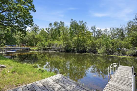 4501 Cornwell Lane, Whitmore Lake, MI 48189 photo 4