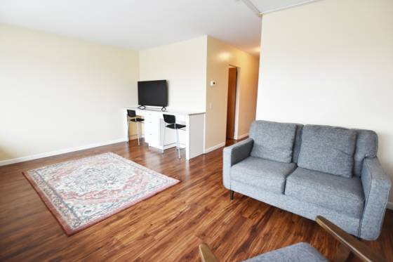 555 E William Street #11h, Ann Arbor, MI 48104 photo 3