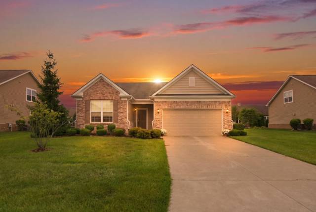 23955 Montague Drive, Brownstown, MI