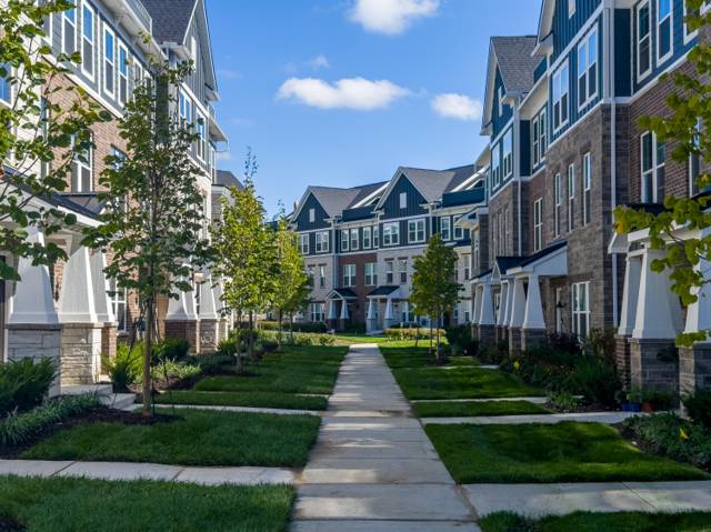 25552 Tolstoy Trail, Novi